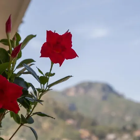 La Guardiola Di Angela E Nino